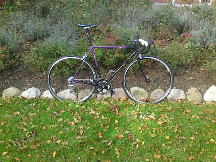 SCO Race champion 89' billede 1