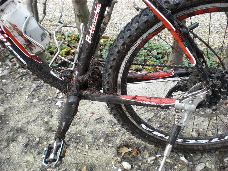 Bottecchia FX540 - Så er det hvis tid til rengøring efter en efterårs dag i blaabjerg billede 12