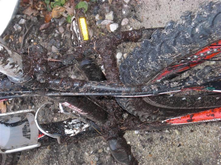 Bottecchia FX540 - Så er det hvis tid til rengøring efter en efterårs dag i blaabjerg billede 13