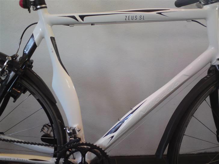 Mikado Zeus billede 2