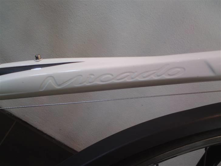 Mikado Zeus billede 4