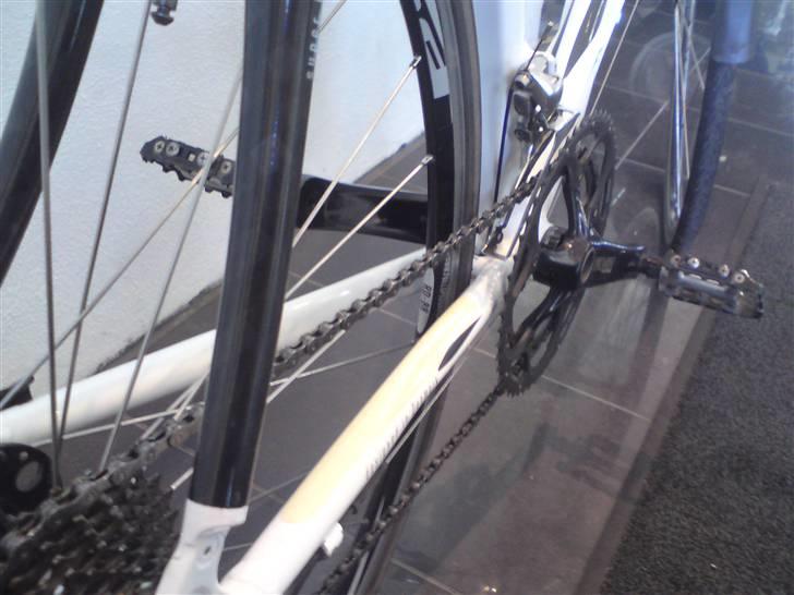 Mikado Zeus billede 6