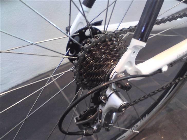 Mikado Zeus billede 7