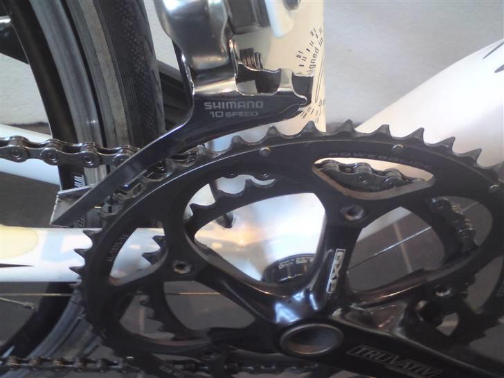 Mikado Zeus billede 8