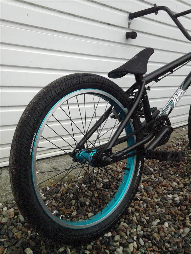 Wethepeople Zodiak  billede 5