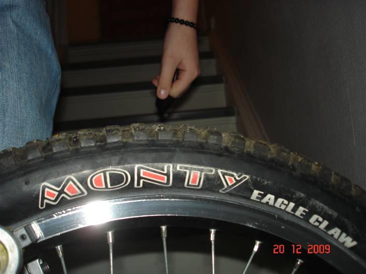 Monty 219 billede 12