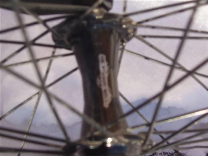 Staats AL 7005 billede 12