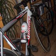 Wilier escape vintercykel