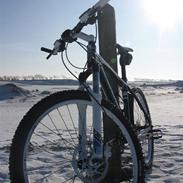 Scott Scale 60 2010