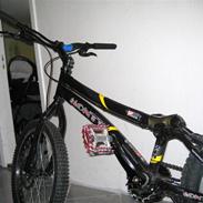 Monty 219