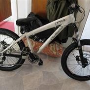 Specialized P3
