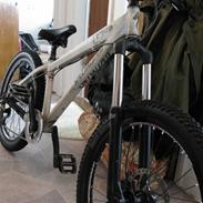 Specialized P3