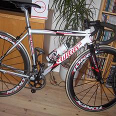 Wilier escape vintercykel