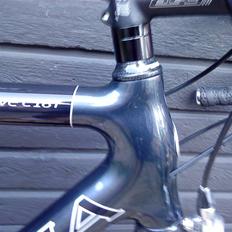 Principia Evolution Weave C16T