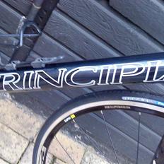 Principia Evolution Weave C16T