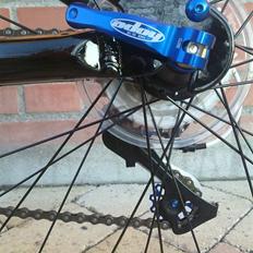 Scott scale jr 24 2010