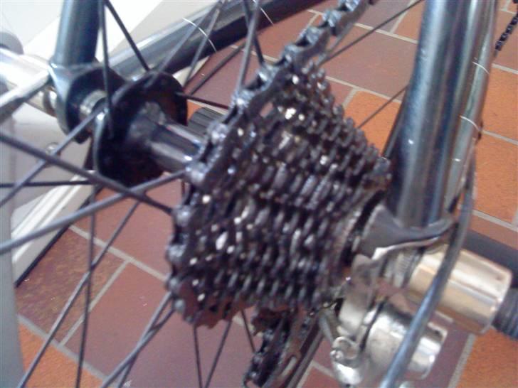 Principia Evolution Weave C16T billede 7