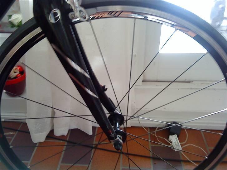 Principia Evolution Weave C16T billede 9