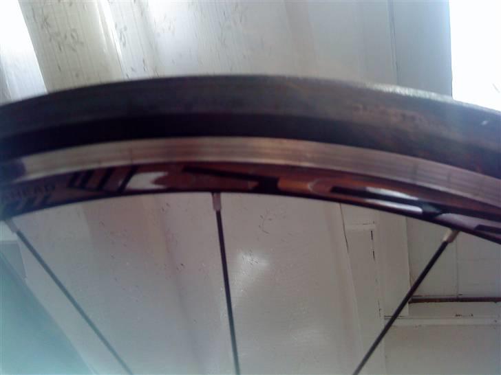 Principia Evolution Weave C16T billede 10