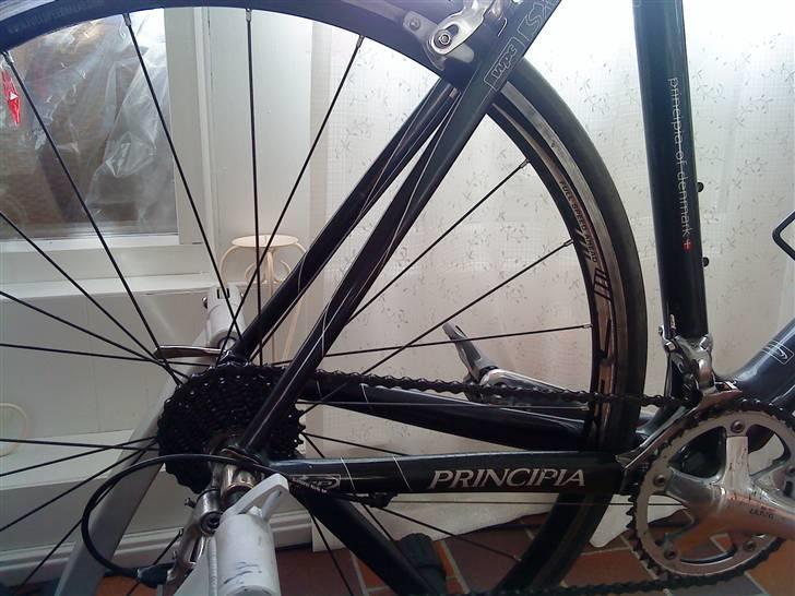 Principia Evolution Weave C16T billede 16