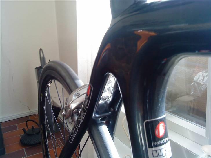 Principia Evolution Weave C16T billede 18