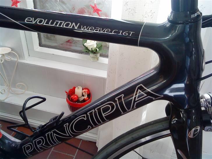 Principia Evolution Weave C16T billede 19