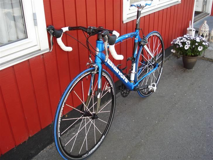 Bianchi Via Nirone 7 billede 2