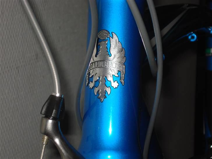 Bianchi Via Nirone 7 billede 4
