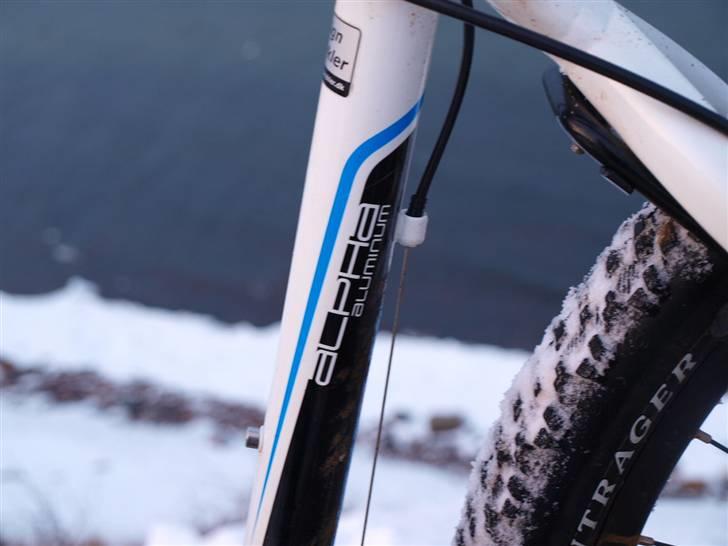 Trek 4500 Series 4 2010 billede 5