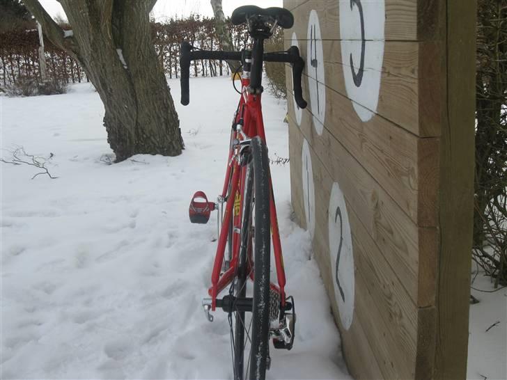 Cannondale cannondale saeco død billede 2