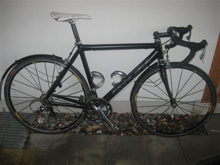 Principia rex sx pro - Vintercyklen billede 1