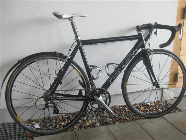 Principia rex sx pro billede 2