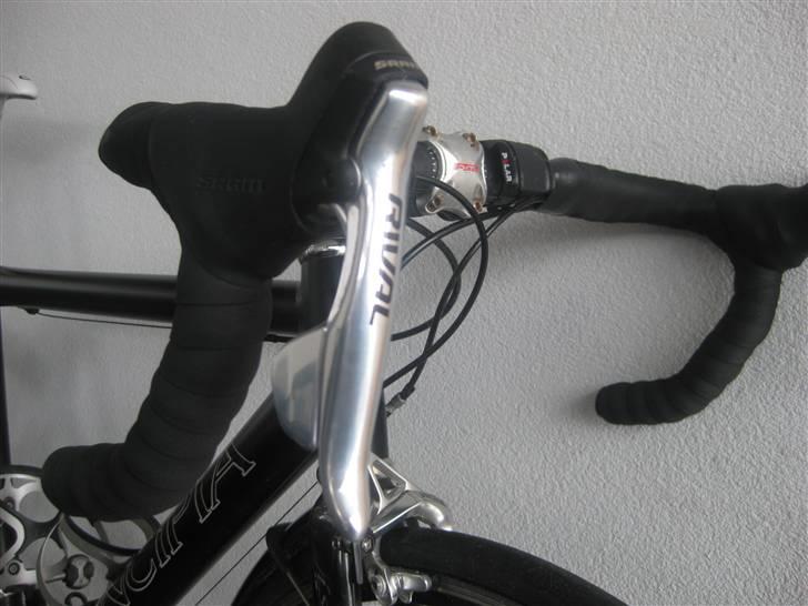 Principia rex sx pro billede 3