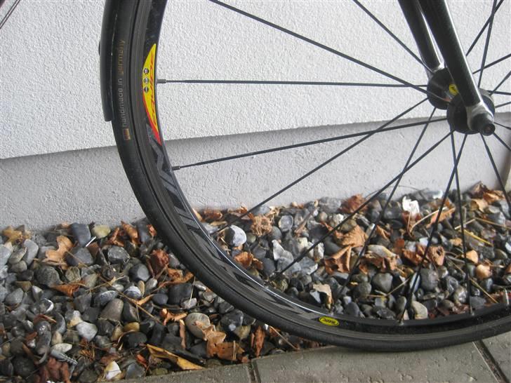 Principia rex sx pro billede 4