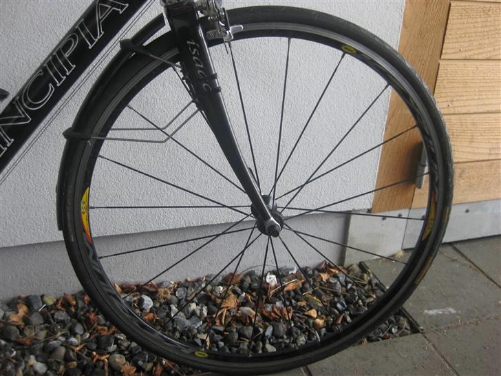 Principia rex sx pro billede 5