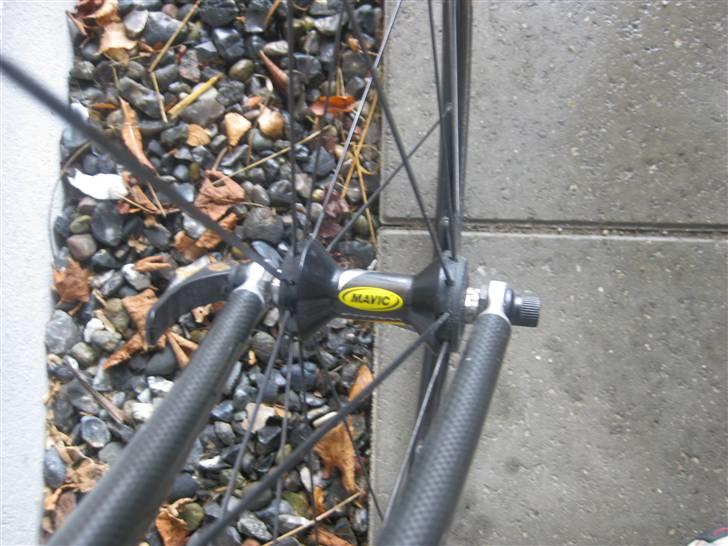 Principia rex sx pro billede 6