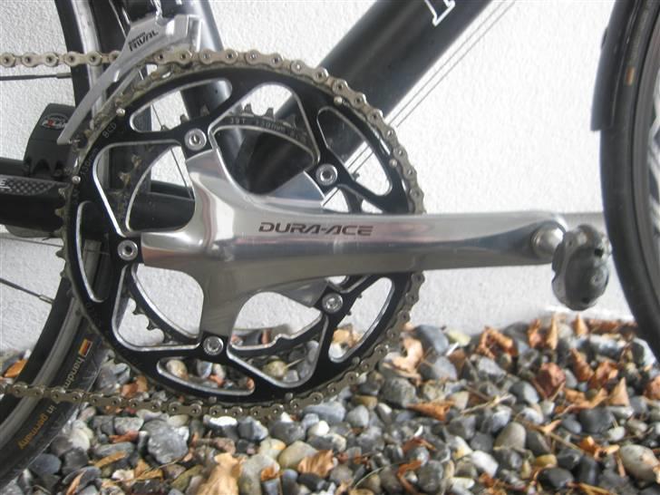 Principia rex sx pro billede 7