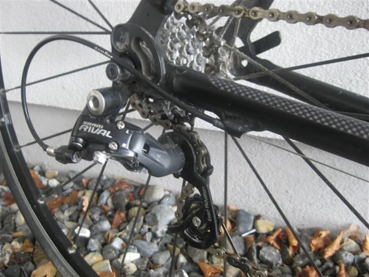 Principia rex sx pro billede 8