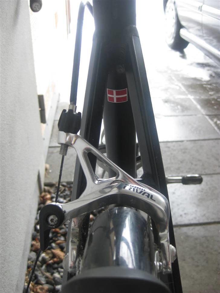 Principia rex sx pro billede 12