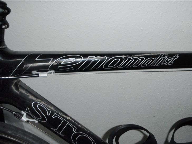 Storck Fenomalist billede 9