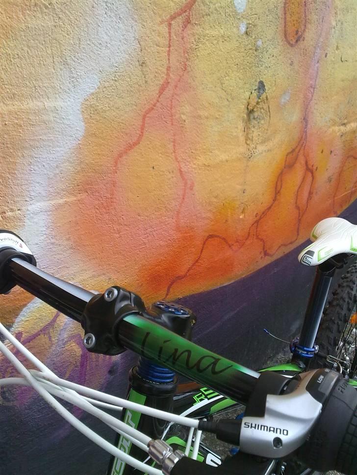 Scott scale jr 24 2010 billede 14