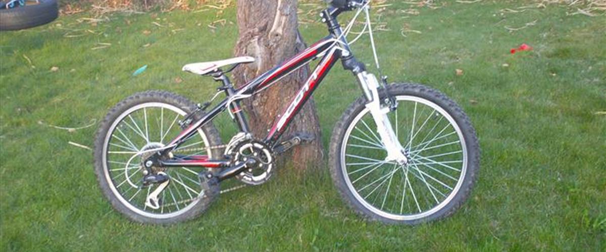 scott scale jr 20 2016