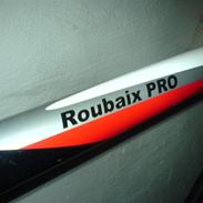 Fuji Roubaix Pro '08