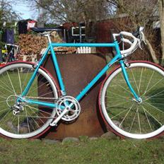 Mosquito CYMO