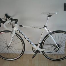 Principia Evolution Weave C16T