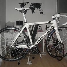 Principia Evolution Weave C16T