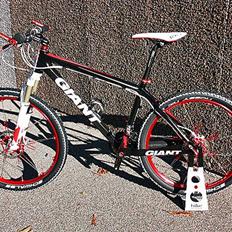 Giant Advanced Custom