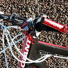 Giant Advanced Custom