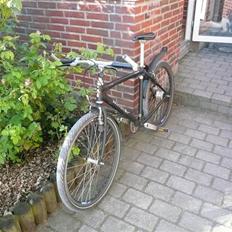 Winther Testro