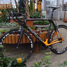 Principia Evolution C16T - SOLGT